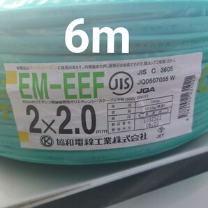 2024年製 EM-EEF2.0x2C 6m