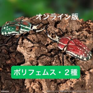 【オンライン版】ポリフェムスオオツノカナブン(レッド・グリーン) いきもの大図鑑 かぶとむし08