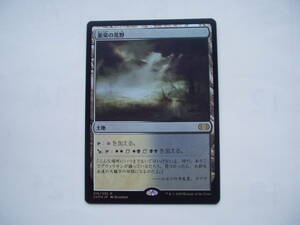 2　バイン　MTG 悪臭の荒野/Fetid Heath　foil 日本語1枚