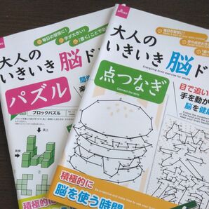 DAISO 大人のいきいき脳ドリル パズル 点つなぎ 2冊セット