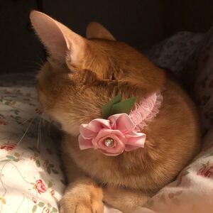 ペット用品、猫シュシュ、犬首輪、鈴付き、ピンク