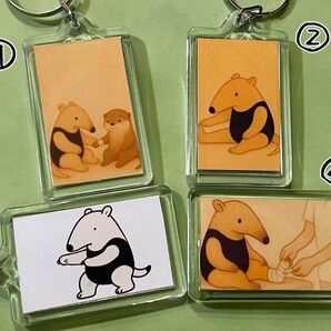 (5種類中2つ選択)コアリクイくん&カワウソのキーホルダー