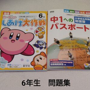 6年生 総仕上げ まとめ 問題集 セット売り 予習 復習 家庭学習