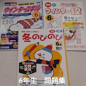 6年生 問題集 冬休み 予習 復習 家庭学習 未使用 先取り
