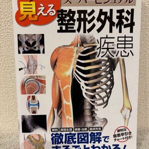 全部見える整形外科疾患