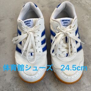 体育館シューズ 24.5cm