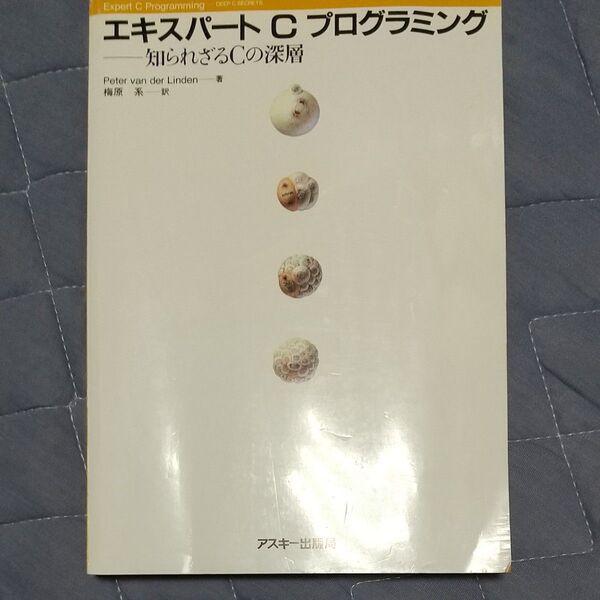 エキスパートCプログラミング 知られざるCの深層