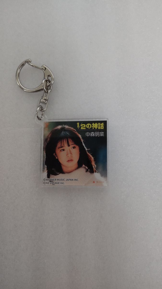 中森明菜 キーホルダー コンプリート 15テン 写真展 おまけ