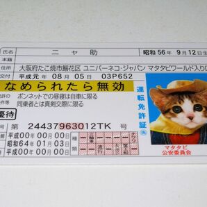 【なめ猫 免許証風 ブロマイド ニャ助】なめんなよ猫 なめねこ 癒し 金 かわいい 可愛い ネコ トレカ 癒し系 ゴールド免許 猫