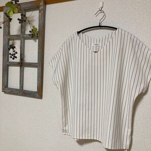 テチチ テラス (CAN) ストライプ柄 プルオーバー Vネック 半袖 ホワイト