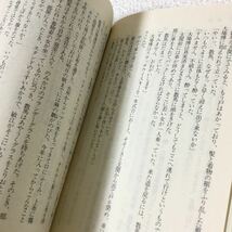 46 春のいそぎ 立原正秋 昭和50年6月15日第1刷発行 野間省一 講談社 小説 日本作家 日本小説_画像4