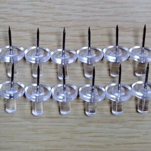 ディスプレイピン いきもの大図鑑 かぶとむし くわがた タガメ セミ タイムボカン