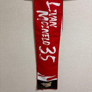 福岡ソフトバンクホークス マフラータオル モイネロ