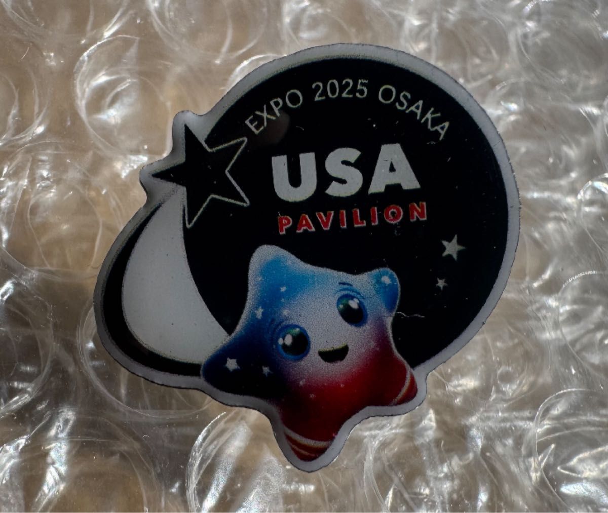 大阪・関西万博 スイス館 SWISS PAVILIONN EXPO 2025 OSAKA ピンズ