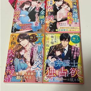 TL小説 若き金融王は身ごもり妻に昂る溺愛を貫く ベリーズ文庫 他4冊セット【41】