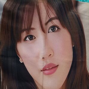 綾瀬はるか 抱枕カバー