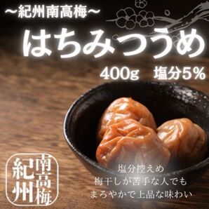 紀州南高梅 塩分控えめ はちみつ梅 訳あり 送料無料 梅干し うめぼし 塩分5% つぶれ梅 ポスト投函 和歌山県産 家庭用