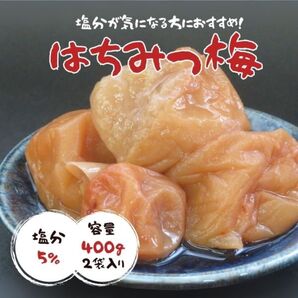 紀州南高梅 はちみつ梅 塩分5% 訳あり 送料無料 梅干し 梅 減塩 和歌山 ネコポス ポスト投函 免疫力アップ 夏バテ