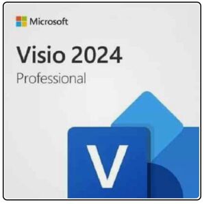 正規ライセンス Microsoft Visio Professional 2024 永久版 買い切りタイプ