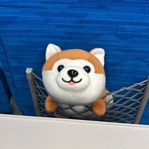 秋田犬 ぬいぐるみ