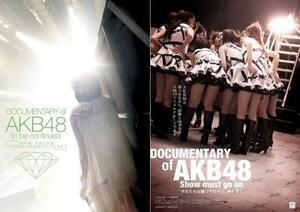 DOCUMENTARY of AKB48 全2枚 10年後、少女たちは今の自分に何を思うのだろう?・ 少女たちは傷つきながら、夢を見る レンタル落ち セット