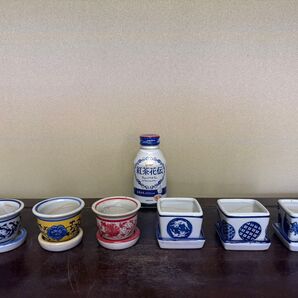 カラフルいろいろ絵付けミニ盆栽鉢 6品セット 盆栽 多肉 山野草 豆鉢