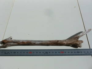 driftwood approximately 31x6.5x2cm