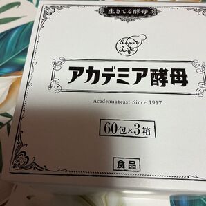 アカデミア酵母 60包×3箱 生きてる酵母 サプリメント 食品