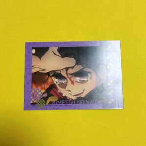 鬼滅の刃 珠世 「柱稽古編」 カード ぱしゃこれ