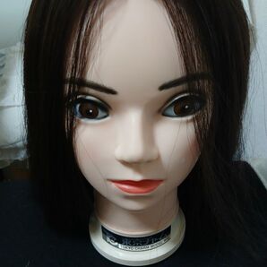 株式会社 三矢 東京チャーム TOKYO CHARM MODEL 練習用カットウィッグ アップ練習用のみ使用