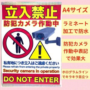 私有地につき立ち入り禁止 防犯カメラ作動中 ラミネート加工 張り紙 A4サイズ