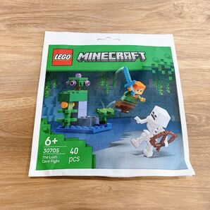 LEGO Minecraft 30705 レゴ マインクラフト