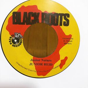 【極美品】Junior Reid / Junior Nature 7inch EP