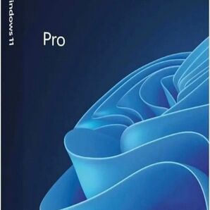 windows11 pro 64bit ウインドゥズ11 プロ プロダクトキーオンライン認証可能