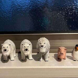 シャクレルプラネット