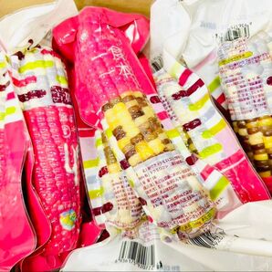 賞味期限更新★新入荷♪彩糯とうもろこし軸付き【40本入り・1ケース】真空パック もち糯玉米棒