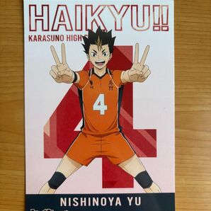 ポストカード ハイキュー