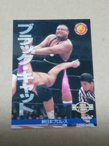 BBM プロレスカード1996 No.10　ブラックキャット　新日本プロレス