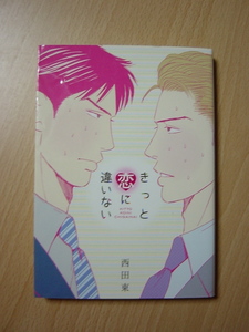 ★L429★コミック★2014.2　きっと恋に違いない　西田東　カバー痛み・かなりヤケ　Ⅲ