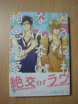 ★L526★コミック★どうにもなんない相思相愛　山田パピコ　ヤケ　Ⅲ_画像1