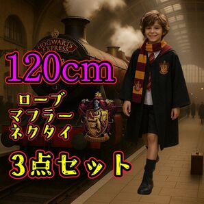 3点セット♪【120〜125】ハリーポッター 子供 ハロウィン グリフィンドール コスチューム コスプレ キッズ ユニバ