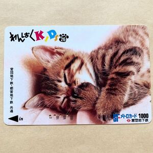 【使用済】 メトロカード 営団地下鉄 東京メトロ わんぱくKIDS 猫