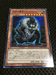 遊戯王 個数9 泥岩の霊長－マンドストロング ノーマル ワールドプレミアパック2020 WORLD PREMIERE PACK 2020 WPP1