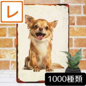 デザイン看板A4】チワワ犬★ポスター絵グッズかわいい可愛いブリキ看板イラスト置物インテリア雑貨アートパネル可愛い壁掛けガーデニング
