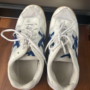 体育館シューズ 25cm