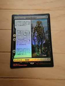 ★☆MTG　【FOIL】【日】ティマレット、死者を呼び出す/Tymaret Calls the Dead[黒R]【THB】★☆ 全ての商品同梱可能