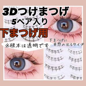 つけまつげ 下まつげ 束感 ワンホン 韓国 3D 手軽 5ペア ナチュラル 新品