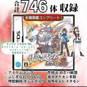 ポケットモンスター ホワイト2 希少データ