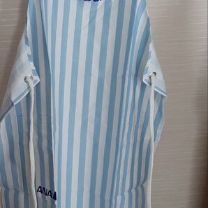 ANA エプロン