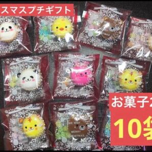【B102】クリスマスプチギフト10セット お菓子2個 アニマルヨーチ こんぺいとう